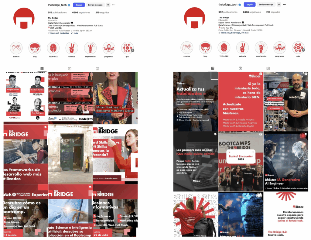 rrss The bridge feed 2024 y 2025